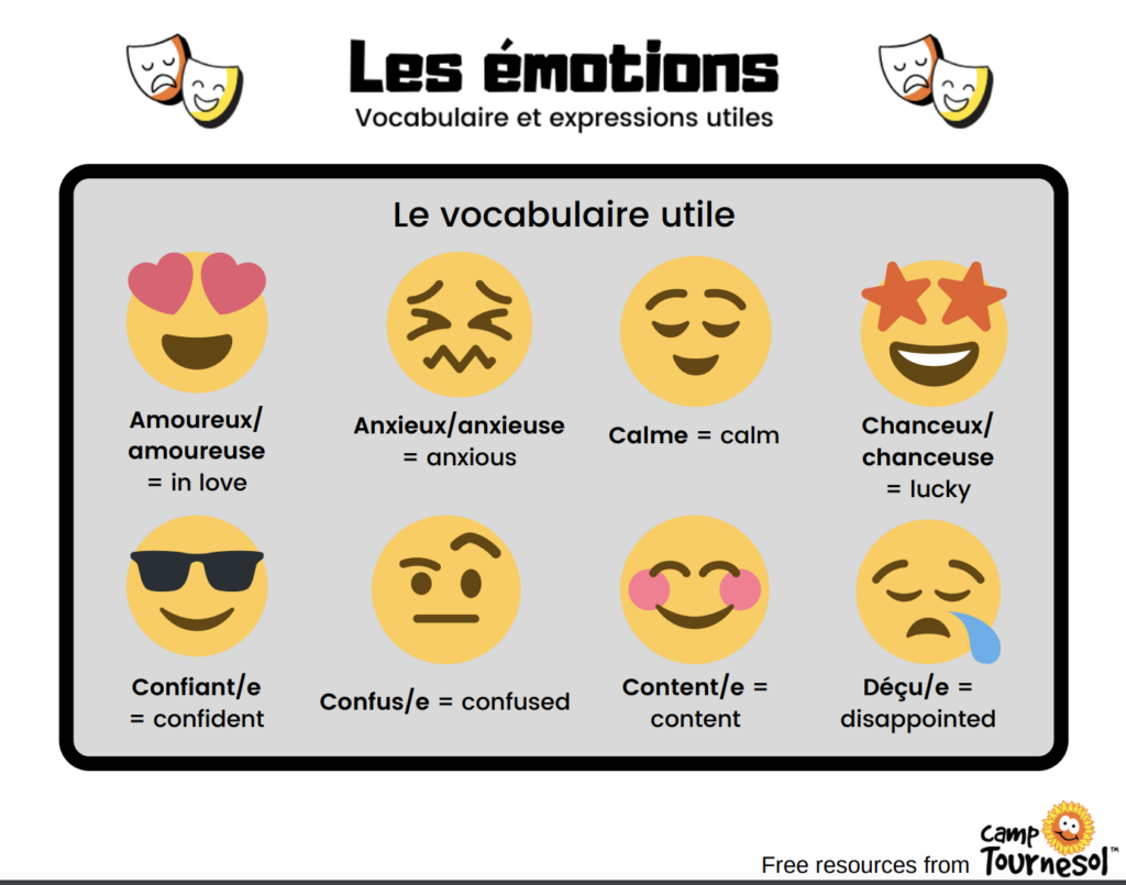 Les Emotions Free French workbook activity example